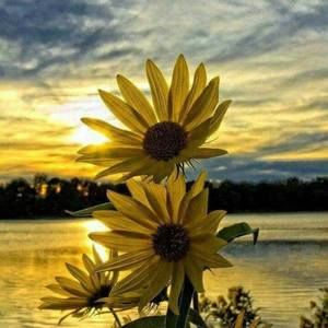 Meet your Posher, Leticia